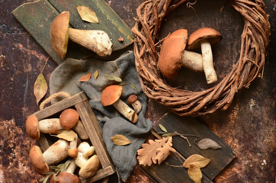 Autumn vegetables, mushrooms and apples arranged on a rustic wooden table